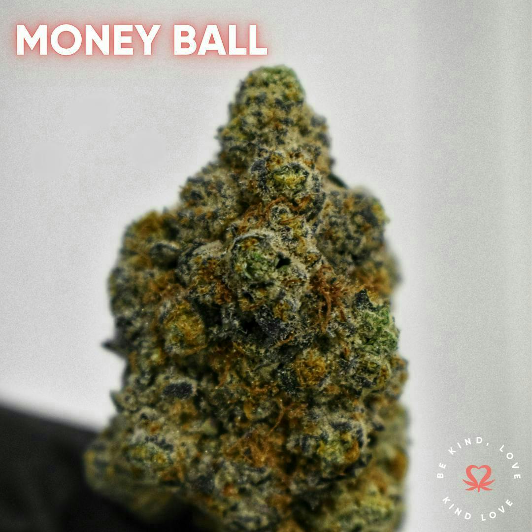Kind Love Brand - Kind Love | Money Ball | Flower - 1