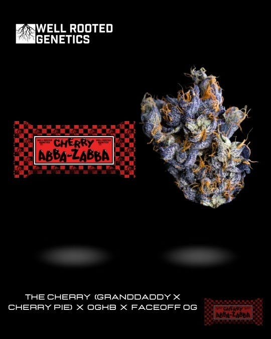 Well Rooted Genetics - Cherry Abba Zabba - 1
