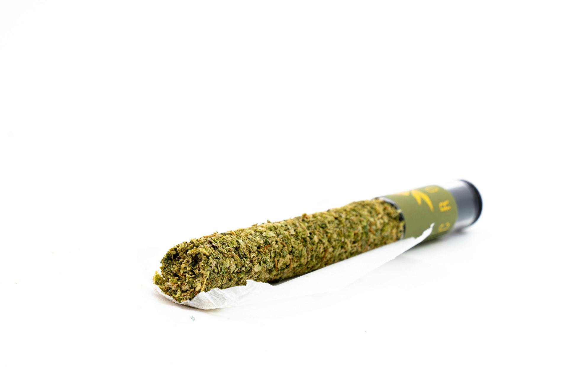 CRONJA - CRONJA - Apples & Bananas (1.5G Pre Roll) - 1