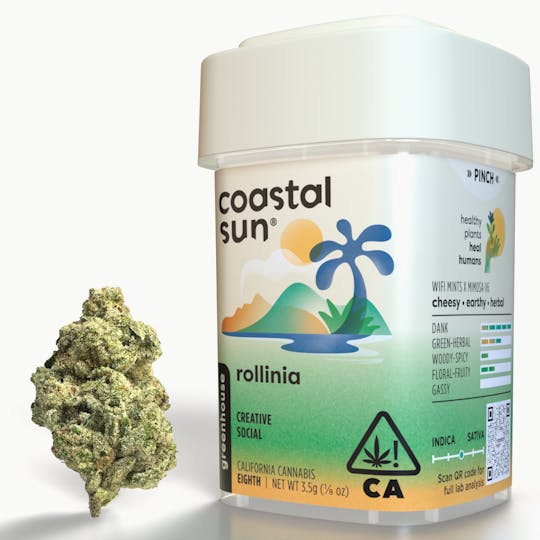 Coastal Sun - Rollinia Greenhouse Flower 3.5g - 1