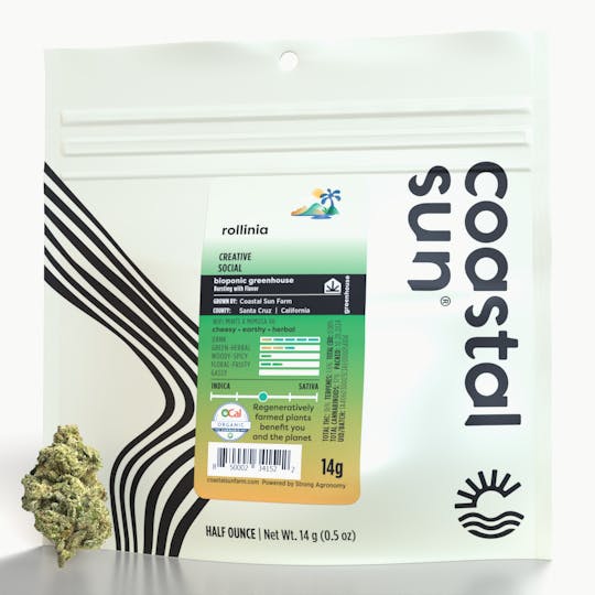 Coastal Sun - Rollinia Greenhouse Flower 14g - 1