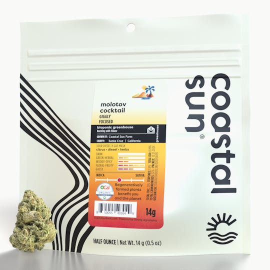 Coastal Sun - Molotov Cocktail Greenhouse Flower 14g - 1