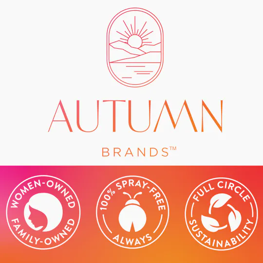 Autumn Brands - 28g Smalls Purple Push Pop - 1