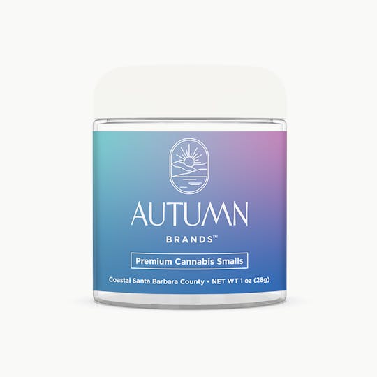Autumn Brands - 28g Smalls Purple Push Pop - 1