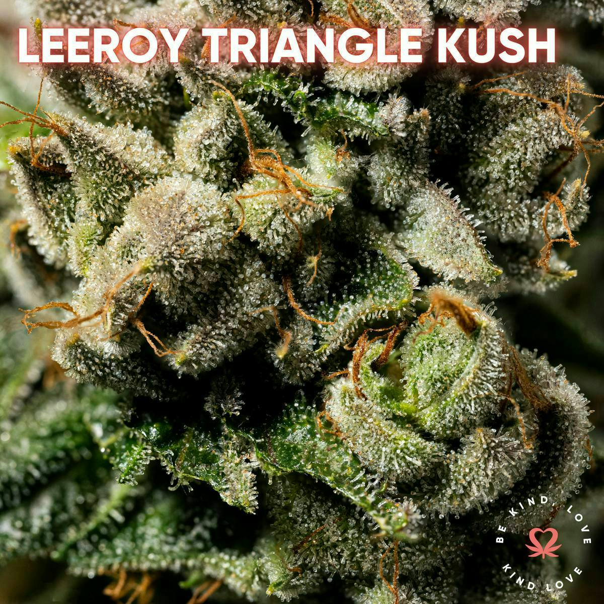 Kind Love Brand - Kind Love | LeeRoy | Flower - 1