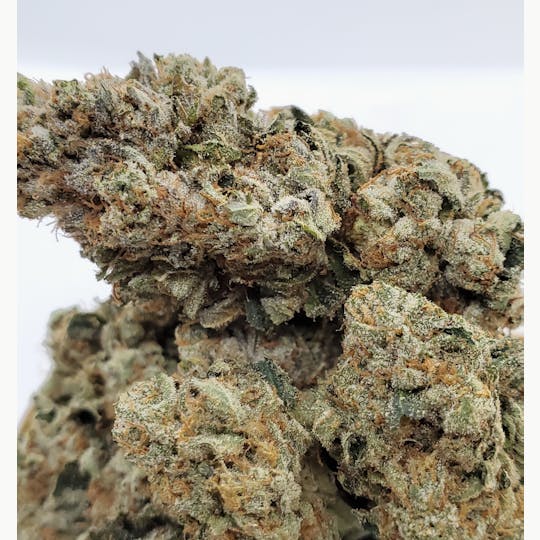 World Class Cannabis - King's Kush - 1