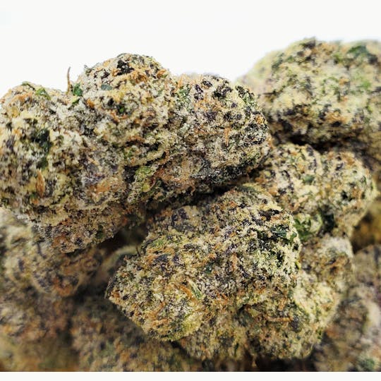 World Class Cannabis - Black Cherry Gelato - 1