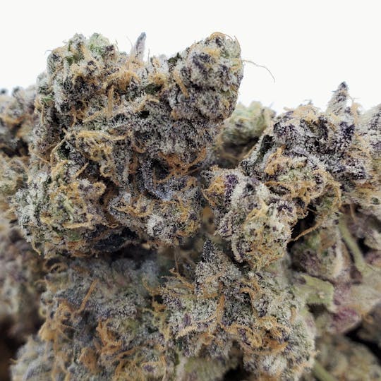 World Class Cannabis - Rozé - 1