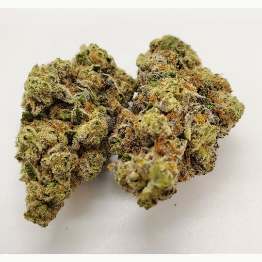 AREA 626 - Dosi Punch - 1