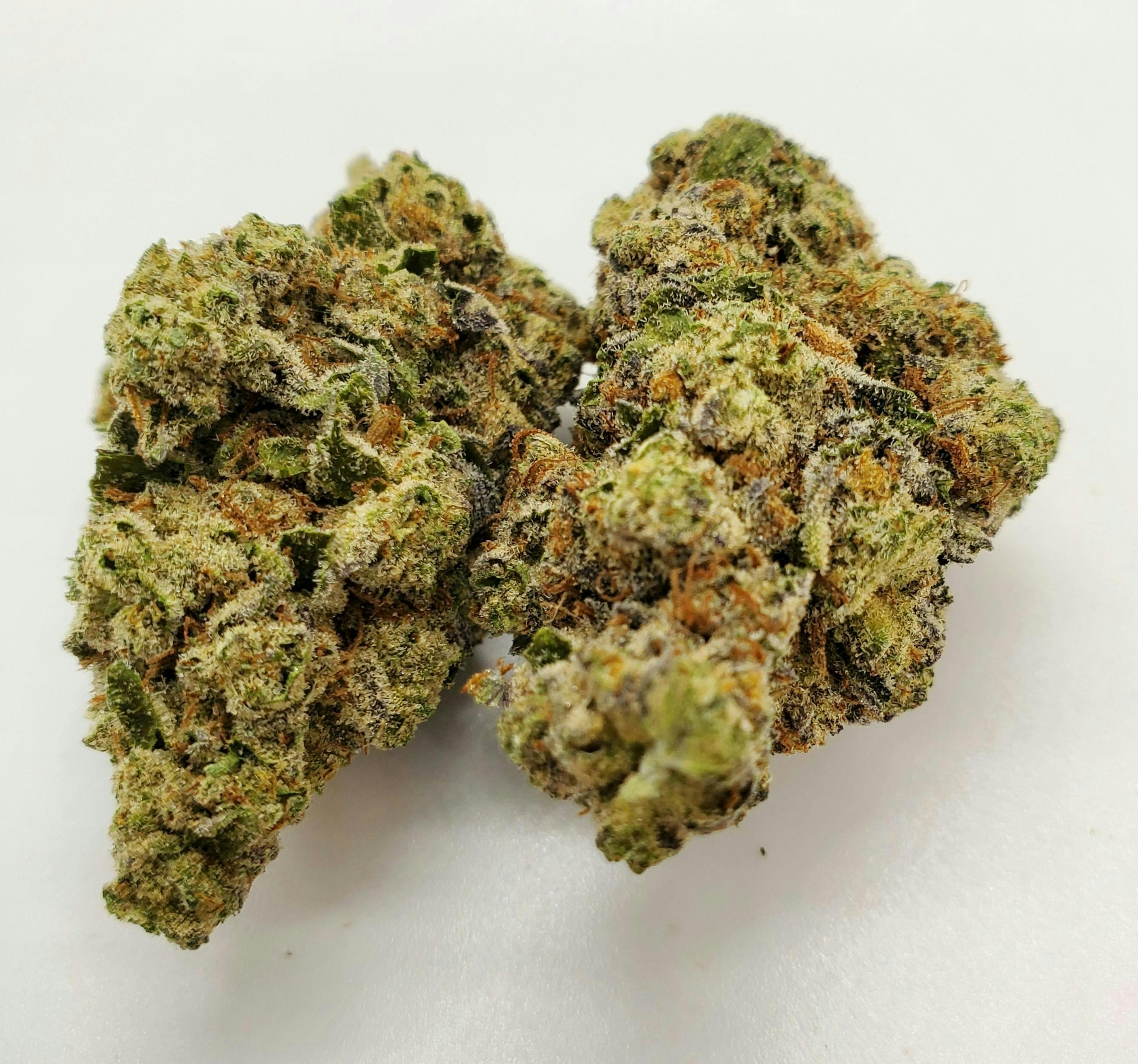 AREA 626 - Area 626 | Dosi Punch | Big Buds - 1