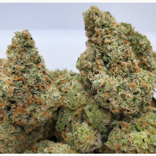 World Class Cannabis - Jack Herer - 1