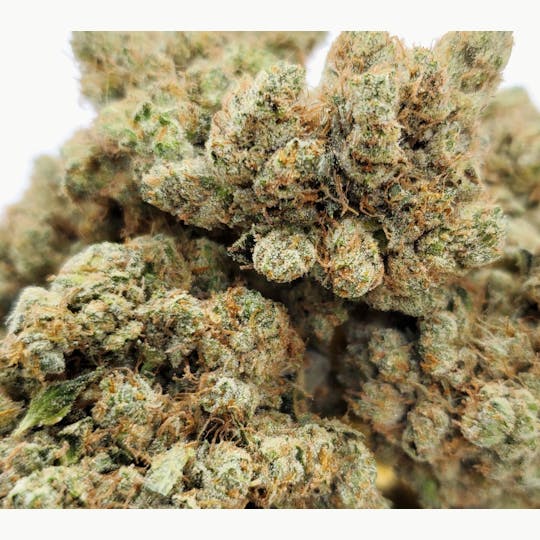 World Class Cannabis - OG 24KT - 1