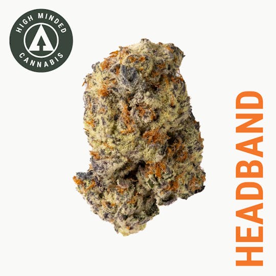 High Minded - Headband - 1