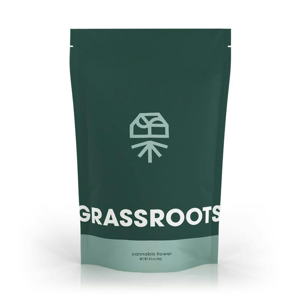 Grassroots - Lemon Royale Popcorn Flower - 1