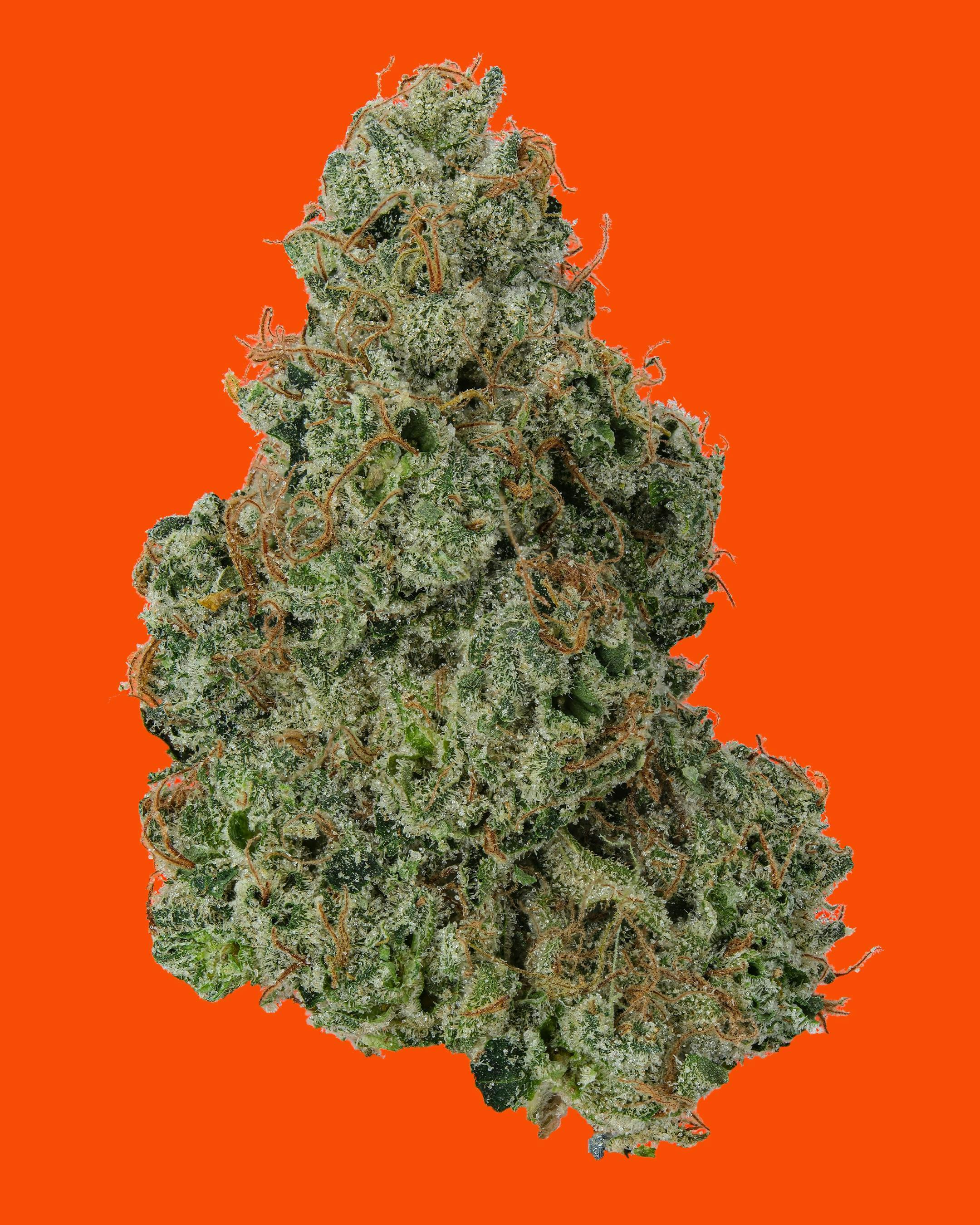 IC Collective - ICC | Ego Krush | Big Buds | 3.5G - 1