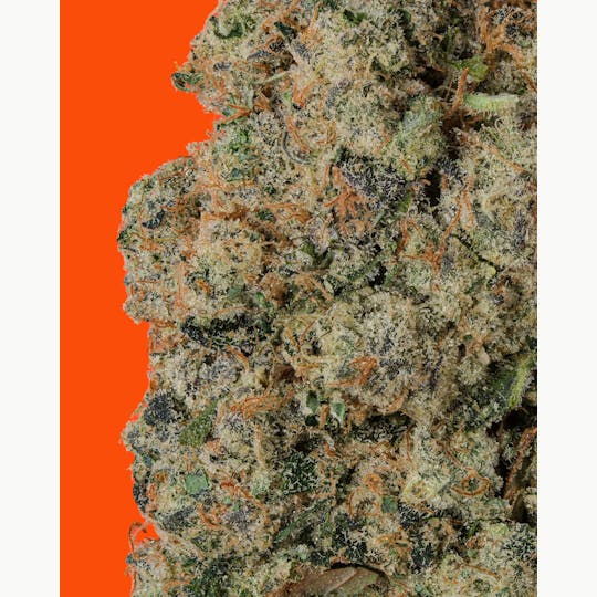 IC Collective - FOX RIVER CHEM - 1