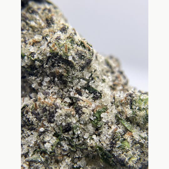 Twenty Two K / 22k - BLACK PEARL - Diamond Coated Indoor - Treasure Island - 3.5g | 1/8oz - 1