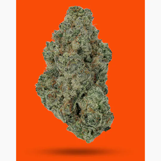 IC Collective - ICC | Tide Water | Big Buds | 3.5g - 1