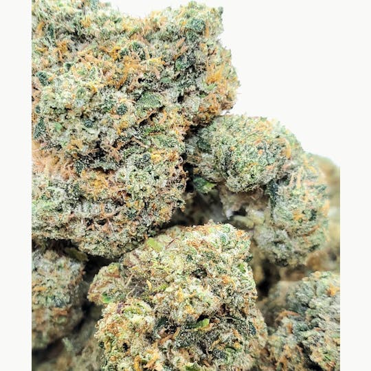 World Class Cannabis - Kashmir Kush - 1