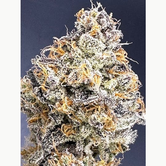 SIRIUS RESEARCH LLC - BLACK SUNSET (SIRIUS EXCLUSIVE) - 1
