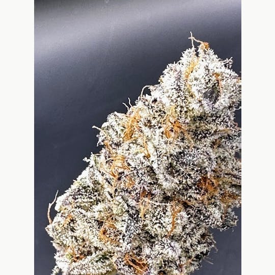 SIRIUS RESEARCH LLC - HELLA GAS (SIRIUS EXCLUSIVE) - 1
