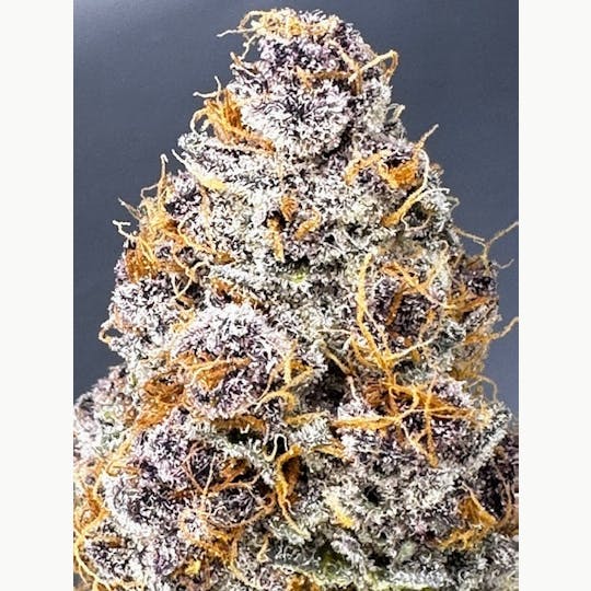 SIRIUS RESEARCH LLC - VIOLET FIZZ - 1