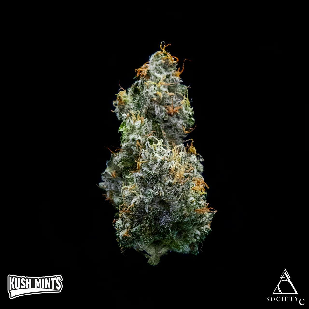 Society C - Society C | Kush Mints | Smalls | 28g - 1