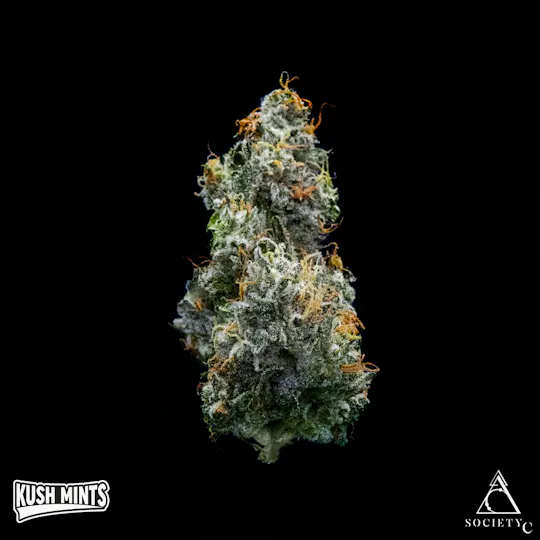 Society C - Society C | Kush Mints | Smalls | 28g - 1