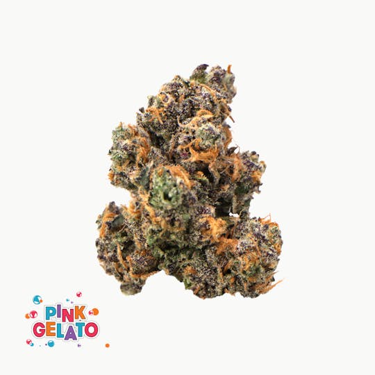 Traditional - Traditional - Pink Gelato 3.5g - 1
