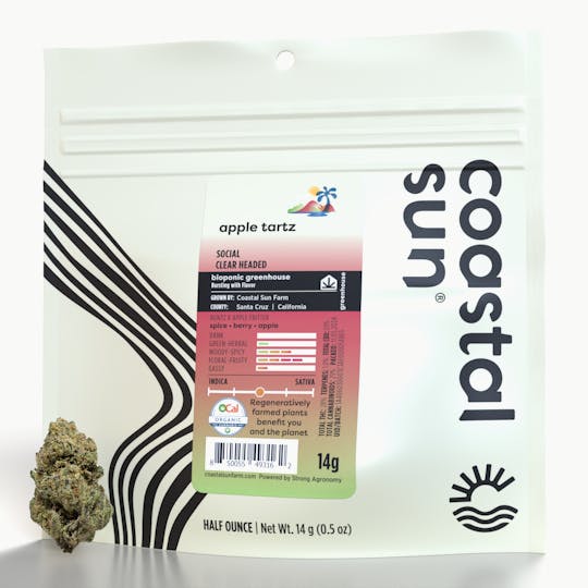 Coastal Sun - Apple Tartz Greenhouse Flower 14g - 1