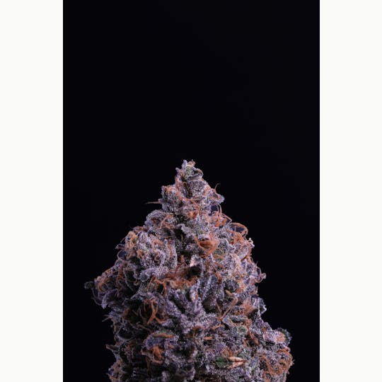 Breathe Free - Candy Fumez | 3.5g - 1