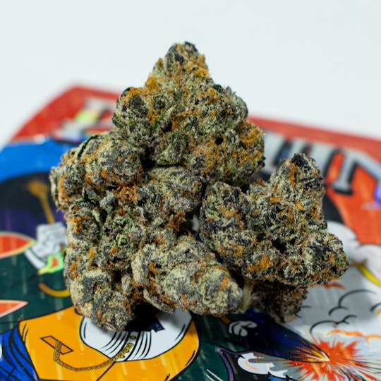 TEDS BUDZ - Ted Penguin - 1