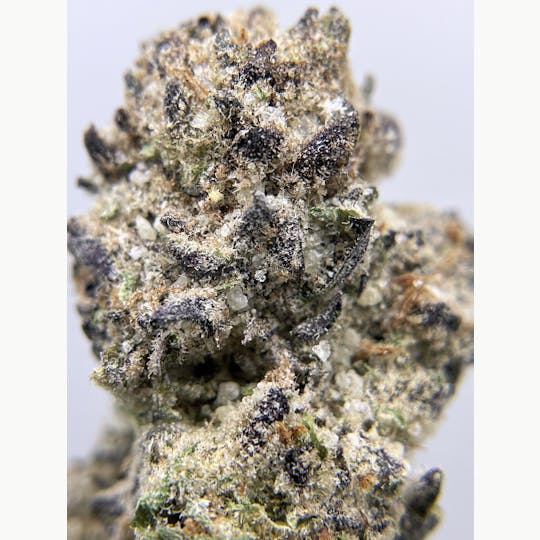 Twenty Two K / 22k - BLACK PEARL - Diamond Coated Indoor - Tropicanna Sunset - 3.5g | 1/8oz - 1