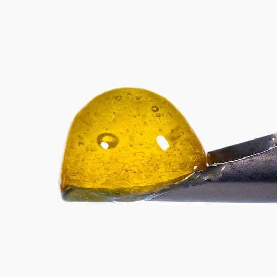 West Coast Cure - Banana Punch Live Rosin Jam - Tier 2 - 1