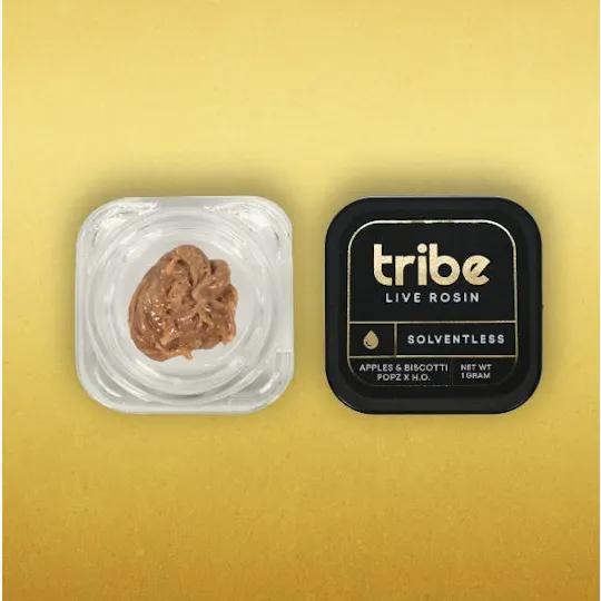 Tribe - Tribe | Apples & Biscotti Popz x H.O. | Live Hash Rosin | 1g - 1