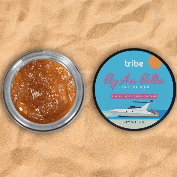 Tribe - Tribe | Big Ass Baller | Biscotti Popz x H.O. | Live Sugar | 14g - 1