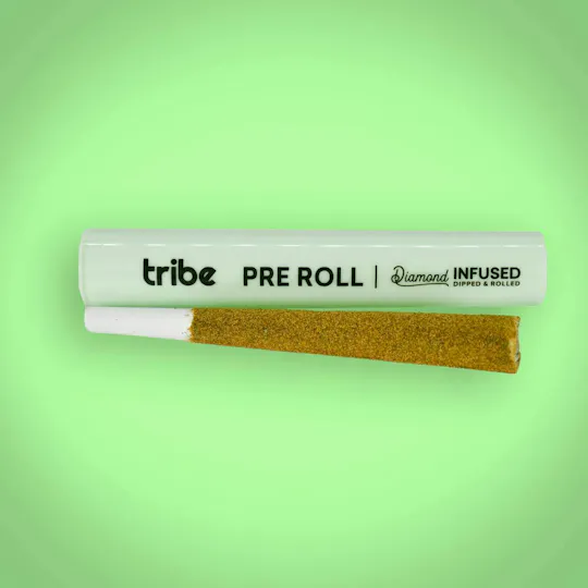 Tribe - Tribe | Bridezilla | Dipped Diamond Infused Joint | 1g - 1