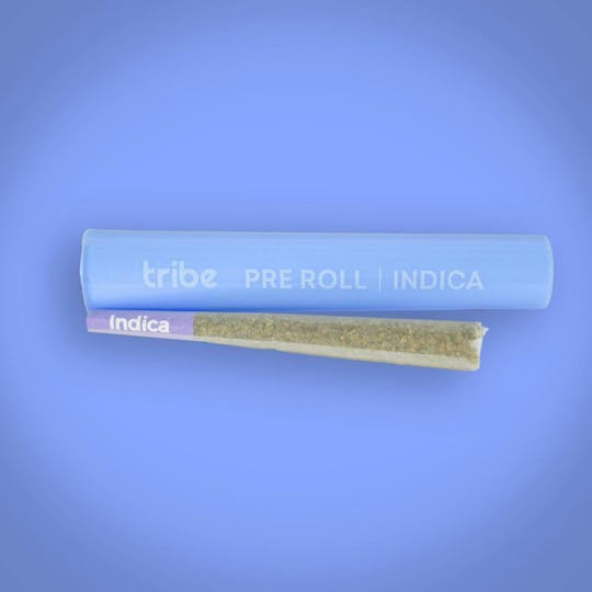 Tribe - Bubble Bath x High Octane - Indica - Flower Pre Roll - 1g - 1