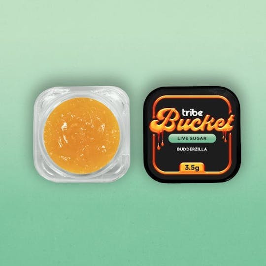 Tribe - Budderzilla - Live Sugar - Bucket - 3.5g - 1