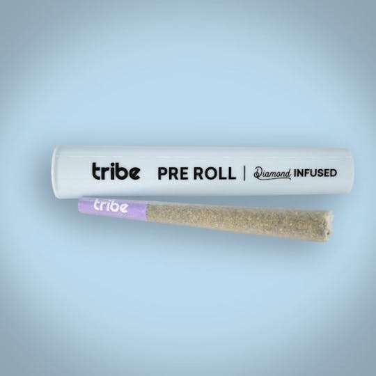 Tribe - Cement Shoes - Diamond Infused - Flower Pre Roll - 1g - 1