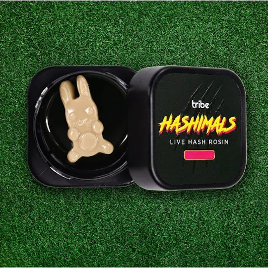 Tribe - Tribe | Chronic Berries | Bunny Hashimals | 1g - 1
