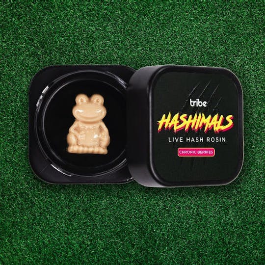 Tribe - Chronic Berries - Hashimals - Live Hash Rosin - Frog - 1g - 1