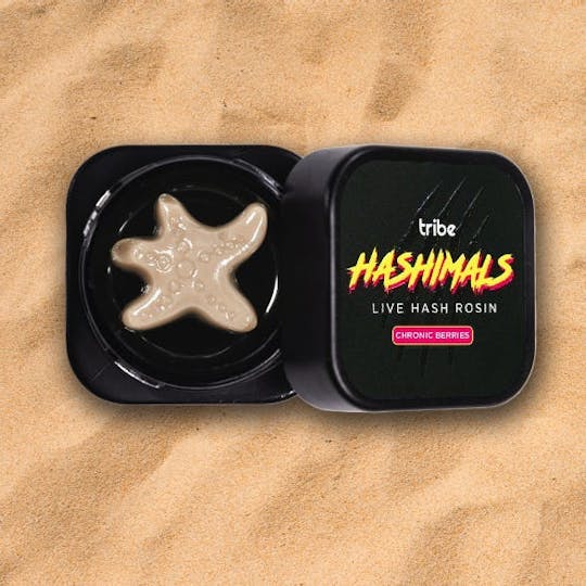 Tribe - Chronic Berries - Hashimals - Live Hash Rosin - Starfish - 2g - 1