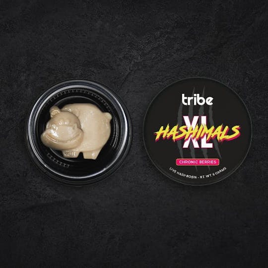 Tribe - Chronic Berries - XL Hashimals - Live Hash Rosin - Hippo - 5g - 1