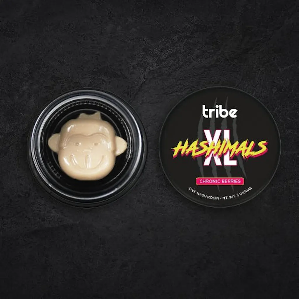 Chronic Berries - XL Hashimals - Live Hash Rosin - Monkey - 5g - Tribe