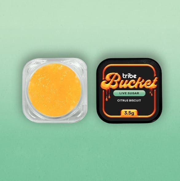 Tribe - Tribe | Citrus Biscuit | Live Sugar Bucket | 3.5g - 1
