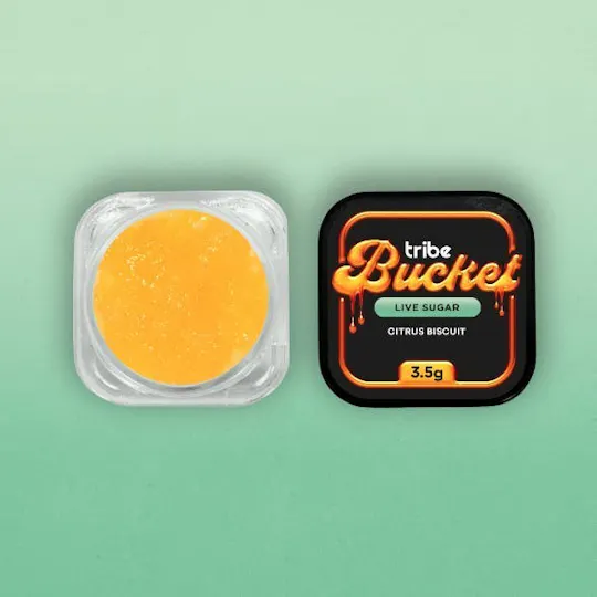 Tribe - Tribe | Citrus Biscuit | Live Sugar Bucket | 3.5g - 1