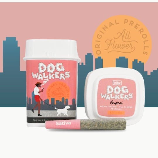 Tribe - Dogwalkers Original - Sativa - Gold Rush - 20x8g - 1