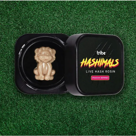 Tribe - Tribe | Dragon Berries | Bear Hashimals | 1.5g - 1