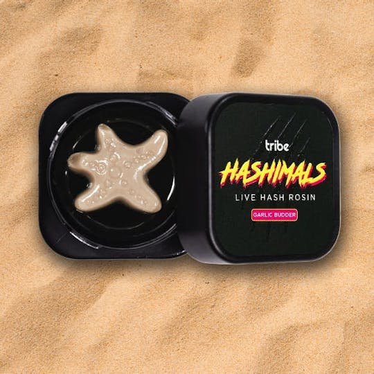 Tribe - Garlic Budder - Hashimals - Live Hash Rosin - Starfish - 2g - 1